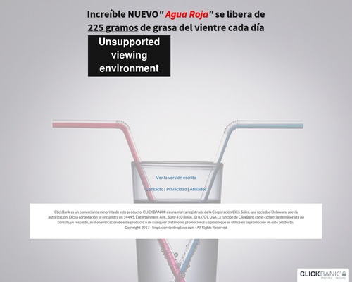 Limpiador para Vientre Plano – Flat Abdominal Flush in Spanish