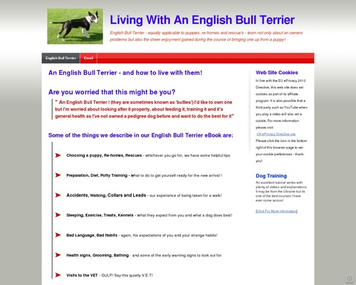 Studying To Live With An English Bull Terrier from Pet To Grownup
