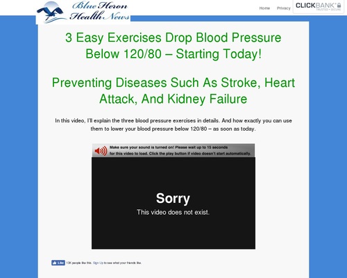 High Blood Stress – Blue Heron Health Files