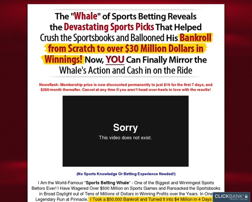 The Whale Acquired $30+ Million Making a bet On Sports activities! $500 Month-to-month Recurring!